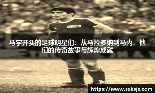 Lewin乐玩官网