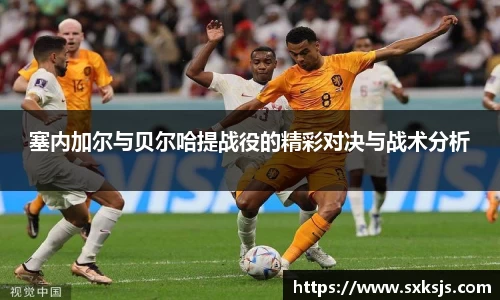 塞内加尔与贝尔哈提战役的精彩对决与战术分析