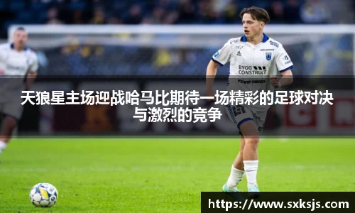 天狼星主场迎战哈马比期待一场精彩的足球对决与激烈的竞争